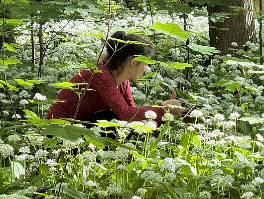 Bildungsurlaub - Buchingerfasten - Mit Kräuterwanderungen